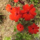 룸비니유치원 이미지