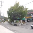 적성전통시장(버스 정류장) 이미지