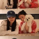 수지집 이미지