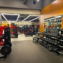 라인업피트니스 이미지