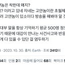 이거 향아치가 한 말인데 먼가 새삼 와닿는다 이미지