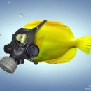 더불어 사는 지구 이미지