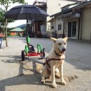 광명콘도 이미지