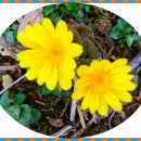 성주산건강마을 이미지