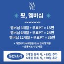 네이브핏 이미지