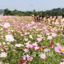 장동축산 충청신문