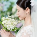 제이스케이트