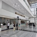 클래식<지브리 콘서트> | 고양 아람음악당 지브리&amp;디즈니 콘서트 관람 후기 아이들과 함께 다녀온 공연 추천