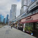 메조스테이 이미지