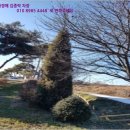 낭산면-1 이미지