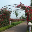 중랑천 산책로 이미지