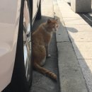 전주밥상 이미지