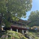 창녕군청 | [100대 명산 #32, 창녕 화왕산]창녕의 숲길이 매우...최단코스 등반후기(블랙야크 100대명산, 도성암 3...