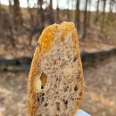 일호빵 | [서울 맛집] 일호빵, 서울 성수동 빵집, 노버터 노...노첨가물 건강빵 통밀 사워도우 맛집, 내돈내산 후기