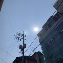 기운나는음식 제대로 먹어봤어요! 리얼후기