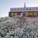 호박성인나이트 - 용인시 처인구 백옥대로 1112 | 호박성인나이트