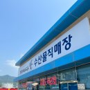 거제 수산물 직매장 지세포 특산물 장어구이포 바다애 후기