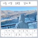 X5 시즌권 할인 혜택으로 마운틴PLUS콘도 숙박 후기 | 맘스터치 | 하이원 근처 장볼만한 곳 태백 이마트