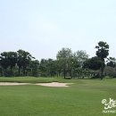 세인트그린