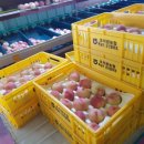 병준농장 이미지