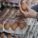 주령축산 이미지