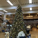 mom's home | 홍시의 계절 The Season of Persimmons