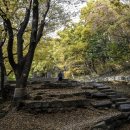 해외교육사업단㈜ 이미지