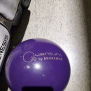 퍼플라이노 이미지