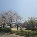 전주순대 | [상동 전주 순대국] 솔직후기/점심메뉴