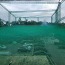 백석블루힐골프클럽 | 검단 백석블루힐 골프 연습장 방문 후기. 주말에 종종 갈께요.