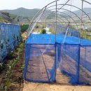 미운오리농장 이미지