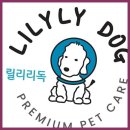 릴리리독 | 송도애견미용 아이들의 건강과 행복을 중요시하는 &#39;릴리리독&#39; 애견케어
