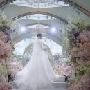베이직무브 | [W5.] 가성비이지만 화이트톤 못잃어, 서울 본식 DVD ‘모먼트무브’ 계약후기, 할인코드O