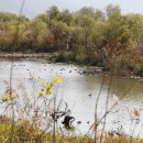 낙동강자전거길6 이미지