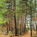 언별1리 이미지