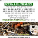 조광주유소 이미지