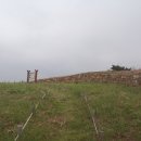 용강초등학교 이미지