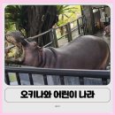 어린이 나라 | 오키나와 아이랑 갈만한 곳 | 어린이 나라 솔직 후기