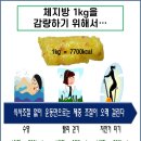 신나는점핑다이어트클럽 - 안성시 공도로 151 | 신나는점핑다이어트클럽