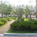 보운초교 이미지