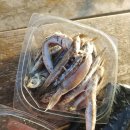 해맞이좌대낚시터 이미지