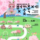 낙동강제방(강서30리벚꽃길) 이미지