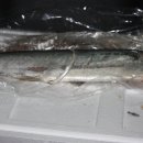 싱싱다육그린원 이미지