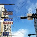 고향의봄길 이미지