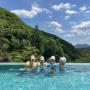 포레스트리솜 이미지