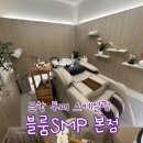 블룸SMP