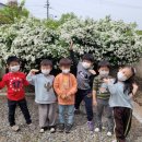 대동초등학교병설유치원 이미지