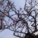 김해건설공업고등학교 이미지