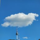 안경나래 이미지