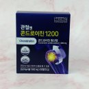 기능성 콘드로이친 효능 알맞은 섭식방법 후기